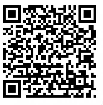 QR-Code "Little Bird"
